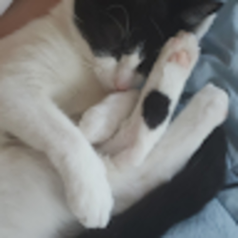 Meet your Posher, Nelkie